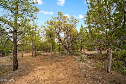 Tiny photo for 4401 W Shaggy Bark Road, Show Low, AZ 85901 (MLS # 262940)