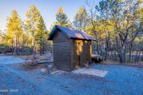Tiny photo for 3400 Goodwill Lane, Lakeside, AZ 85929 (MLS # 258965)