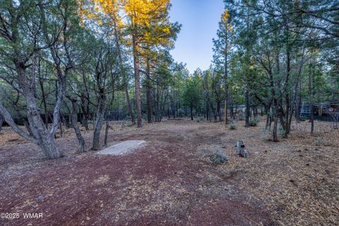 Tiny photo for 3400 Goodwill Lane, Lakeside, AZ 85929 (MLS # 258965)