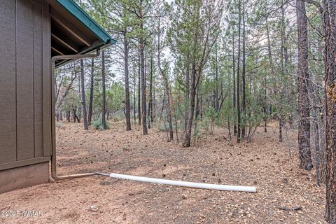 Tiny photo for 3400 Goodwill Lane, Lakeside, AZ 85929 (MLS # 258965)