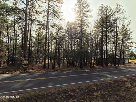 Tiny photo for 6025 Buck Springs Road, Pinetop, AZ 85935 (MLS # 255773)