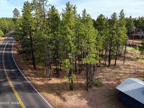 Tiny photo for 6025 Buck Springs Road, Pinetop, AZ 85935 (MLS # 255773)