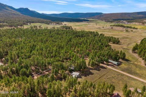 Tiny photo for 22 CR 2082, Alpine, AZ 85920 (MLS # 261931)