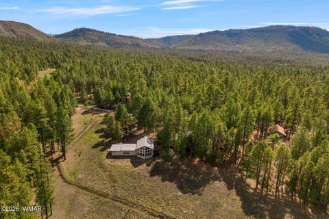 Tiny photo for 22 CR 2082, Alpine, AZ 85920 (MLS # 261931)