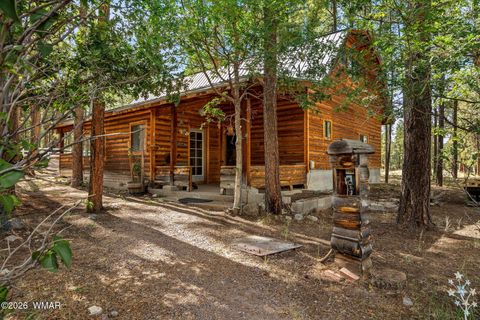 Tiny photo for 22 CR 2082, Alpine, AZ 85920 (MLS # 261931)