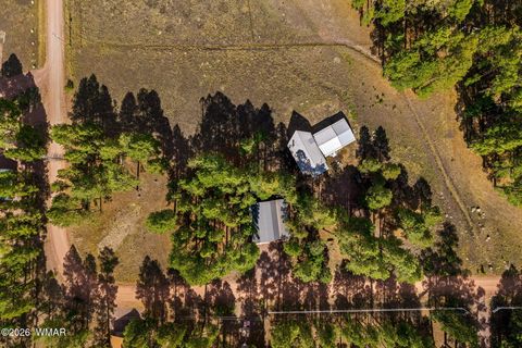Tiny photo for 22 CR 2082, Alpine, AZ 85920 (MLS # 261931)