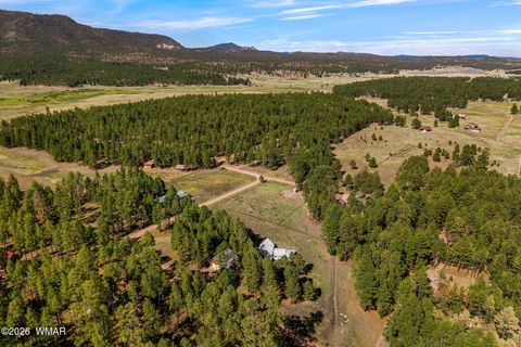 Tiny photo for 22 CR 2082, Alpine, AZ 85920 (MLS # 261931)