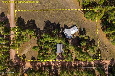 Tiny photo for 22 CR 2082, Alpine, AZ 85920 (MLS # 261931)