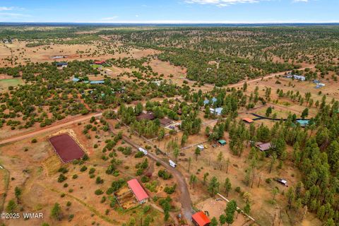 Tiny photo for 1955 Ricochet Ranch Road, Overgaard, AZ 85933 (MLS # 257578)