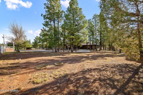Tiny photo for 1955 Ricochet Ranch Road, Overgaard, AZ 85933 (MLS # 257578)