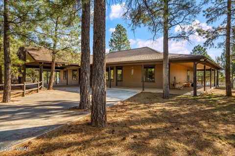 Tiny photo for 1955 Ricochet Ranch Road, Overgaard, AZ 85933 (MLS # 257578)