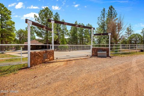 Tiny photo for 1955 Ricochet Ranch Road, Overgaard, AZ 85933 (MLS # 257578)