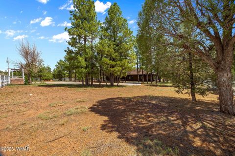 Tiny photo for 1955 Ricochet Ranch Road, Overgaard, AZ 85933 (MLS # 257578)