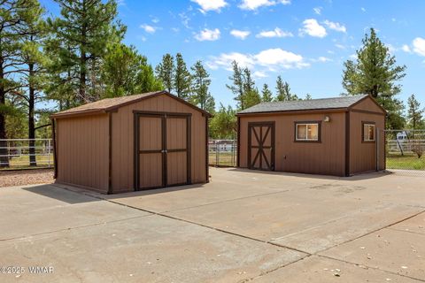 Tiny photo for 1955 Ricochet Ranch Road, Overgaard, AZ 85933 (MLS # 257578)