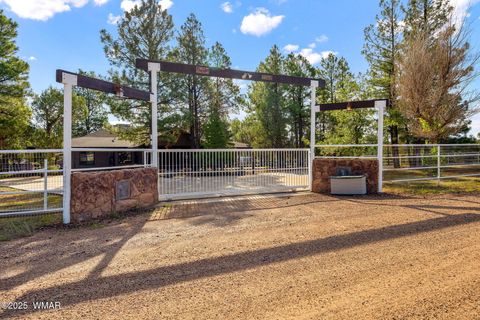 Tiny photo for 1955 Ricochet Ranch Road, Overgaard, AZ 85933 (MLS # 257578)