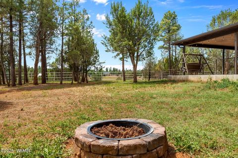 Tiny photo for 1955 Ricochet Ranch Road, Overgaard, AZ 85933 (MLS # 257578)
