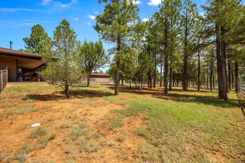 Tiny photo for 1955 Ricochet Ranch Road, Overgaard, AZ 85933 (MLS # 257578)
