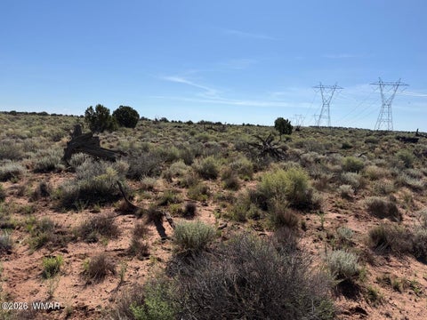 Tiny photo for 5335 White Antelope Road, Snowflake, AZ 85937 (MLS # 262435)