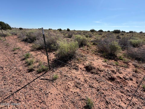 Tiny photo for 5335 White Antelope Road, Snowflake, AZ 85937 (MLS # 262435)