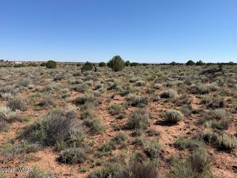 Photo of 5335 White Antelope Road, Snowflake, AZ 85937 (MLS # 262435)