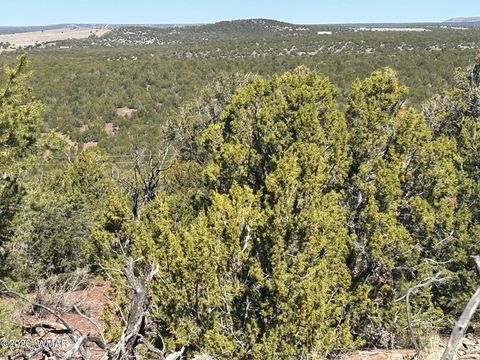 Tiny photo for lot 80 Ranch Road, Vernon, AZ 85940 (MLS # 260048)