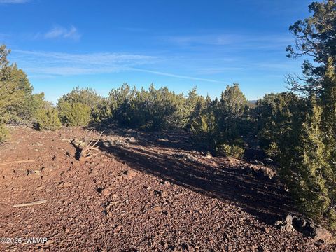 Tiny photo for lot 80 Ranch Road, Vernon, AZ 85940 (MLS # 260048)
