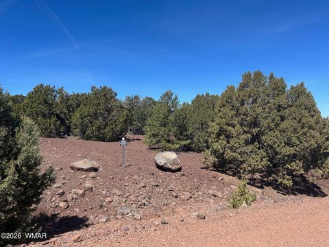 Tiny photo for lot 80 Ranch Road, Vernon, AZ 85940 (MLS # 260048)
