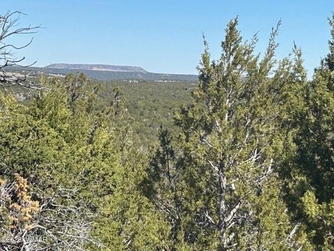 Tiny photo for lot 80 Ranch Road, Vernon, AZ 85940 (MLS # 260048)