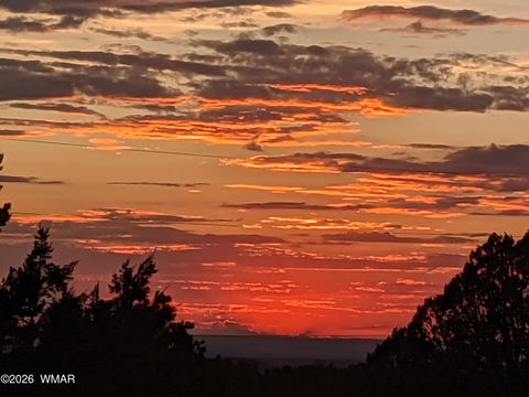 Tiny photo for lot 80 Ranch Road, Vernon, AZ 85940 (MLS # 260048)