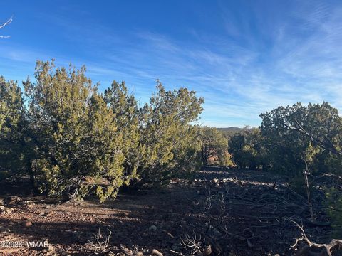 Tiny photo for lot 80 Ranch Road, Vernon, AZ 85940 (MLS # 260048)