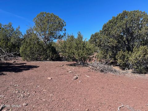Tiny photo for lot 80 Ranch Road, Vernon, AZ 85940 (MLS # 260048)