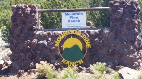 Tiny photo for lot 80 Ranch Road, Vernon, AZ 85940 (MLS # 260048)