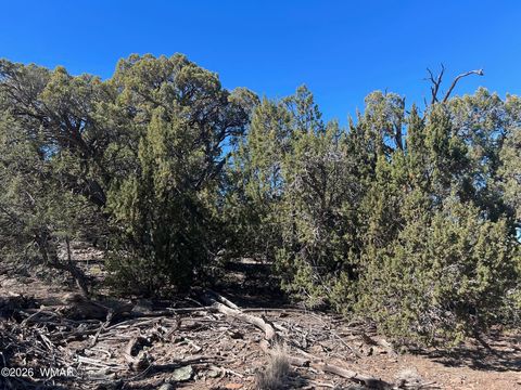 Tiny photo for lot 80 Ranch Road, Vernon, AZ 85940 (MLS # 260048)