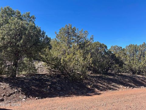 Tiny photo for lot 80 Ranch Road, Vernon, AZ 85940 (MLS # 260048)