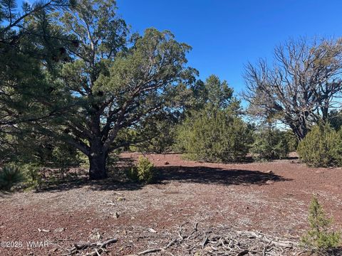 Tiny photo for lot 80 Ranch Road, Vernon, AZ 85940 (MLS # 260048)