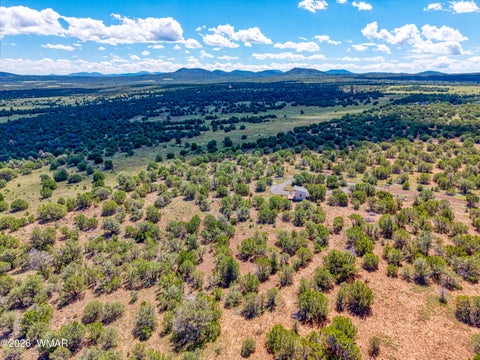 Tiny photo for 9 ACR 3071, Vernon, AZ 85940 (MLS # 263086)