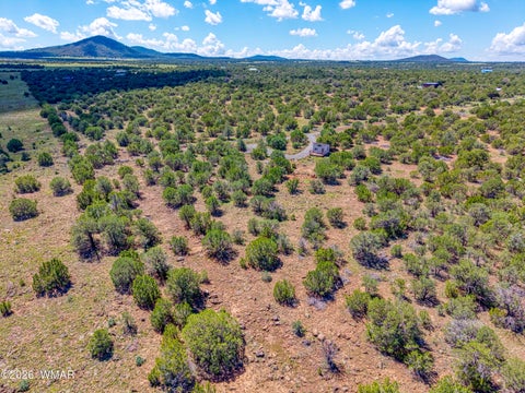 Tiny photo for 9 ACR 3071, Vernon, AZ 85940 (MLS # 263086)