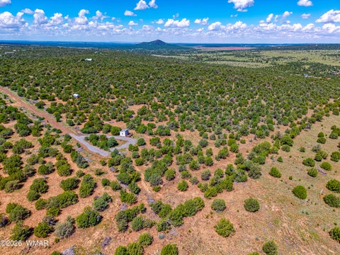 Tiny photo for 9 ACR 3071, Vernon, AZ 85940 (MLS # 263086)