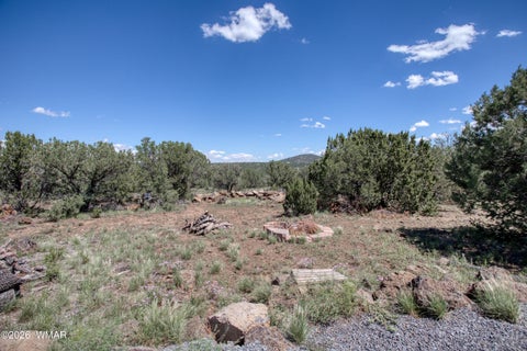 Tiny photo for 9 ACR 3071, Vernon, AZ 85940 (MLS # 263086)