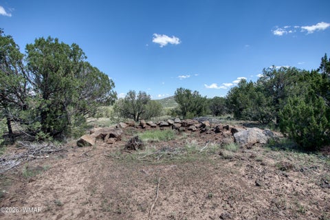 Tiny photo for 9 ACR 3071, Vernon, AZ 85940 (MLS # 263086)