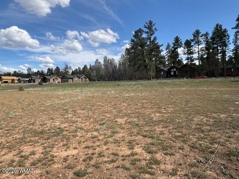 Tiny photo for 2480 W Edgewater, Show Low, AZ 85901 (MLS # 260560)