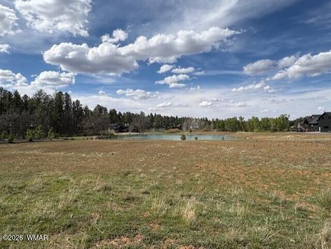 Tiny photo for 2480 W Edgewater, Show Low, AZ 85901 (MLS # 260560)