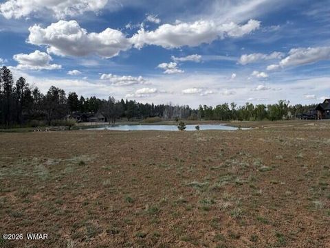 Tiny photo for 2480 W Edgewater, Show Low, AZ 85901 (MLS # 260560)