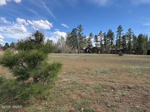 Tiny photo for 2480 W Edgewater, Show Low, AZ 85901 (MLS # 260560)