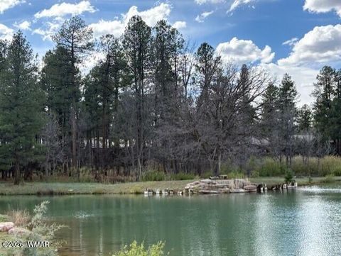 Tiny photo for 2480 W Edgewater, Show Low, AZ 85901 (MLS # 260560)