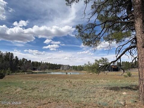 Tiny photo for 2480 W Edgewater, Show Low, AZ 85901 (MLS # 260560)