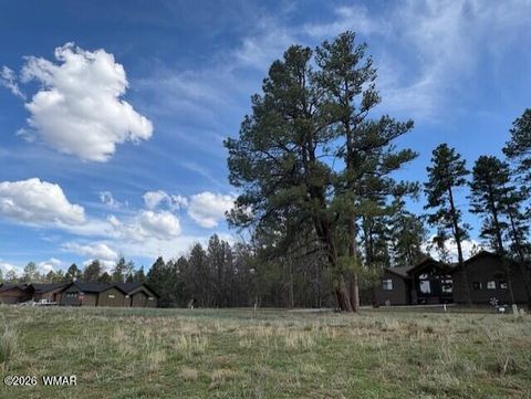 Tiny photo for 2480 W Edgewater, Show Low, AZ 85901 (MLS # 260560)