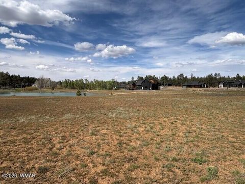 Tiny photo for 2480 W Edgewater, Show Low, AZ 85901 (MLS # 260560)