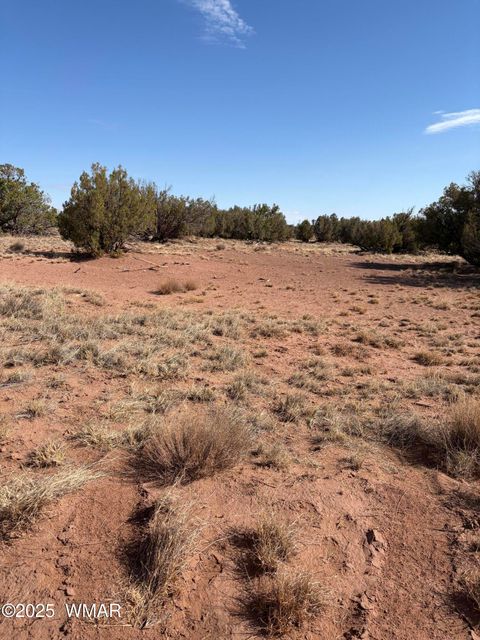 Tiny photo for 8580E Lawson Lane, Snowflake, AZ 85937 (MLS # 257136)