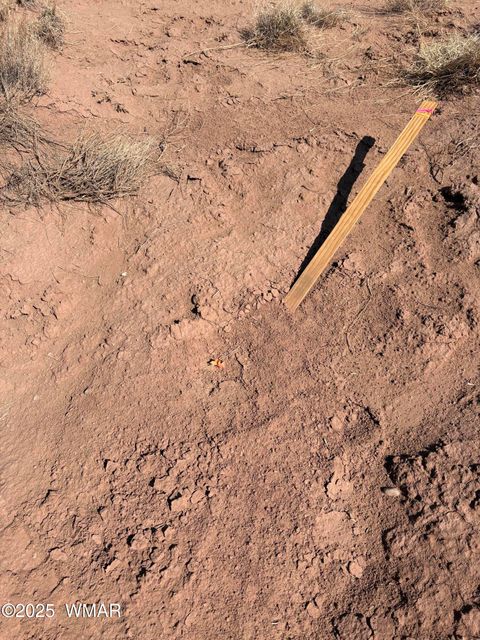 Tiny photo for 8580E Lawson Lane, Snowflake, AZ 85937 (MLS # 257136)